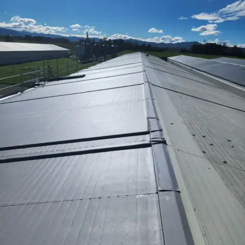 roof remedial membrane 1 768x1024